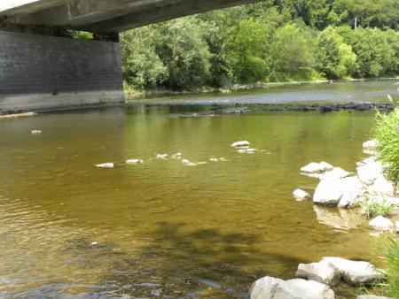 sur les bords de l'Ourthe1