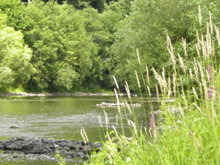 les bords de l'Ourthe