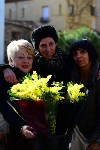 Marche de Collioure : Les trois Graces ! Dimanche 18.01.2015  DSC_3240