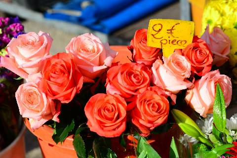 Collioure, tous les dimanches et mercredi, marché