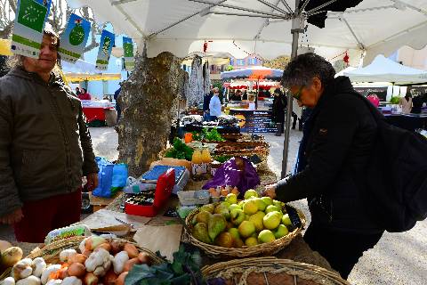 Collioure, tous les dimanches et mercredi, marché