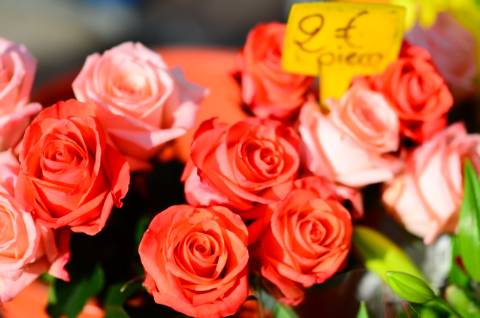 Collioure, tous les dimanches et mercredi, marché