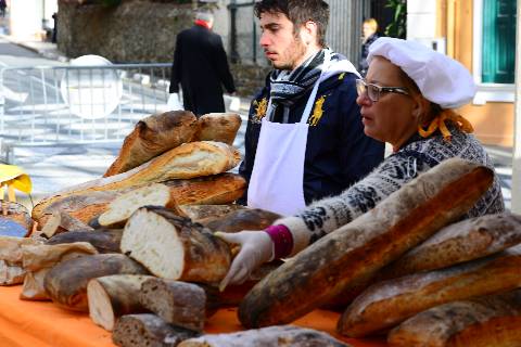 Collioure, tous les dimanches et mercredi, marché