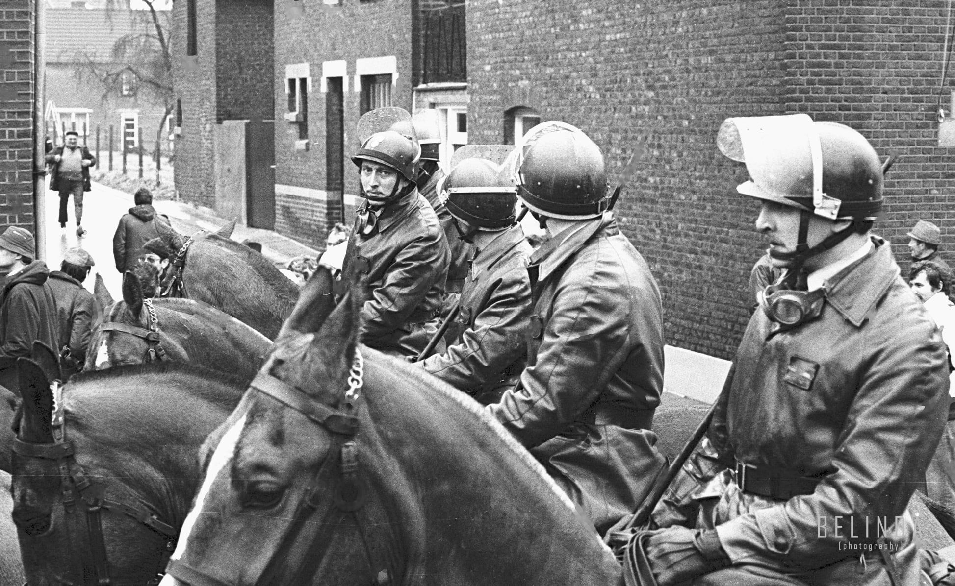 1963 2013 Cette Ann e La Fronti re Linguistique Belge F te Ses 60 