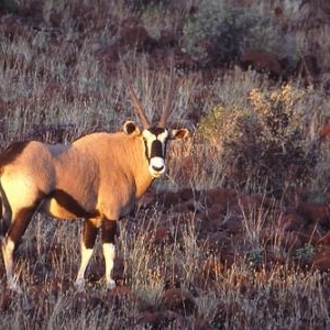 (c) Namibia Tourism Board