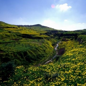 Countryside - (c) Malta Tourism Authority