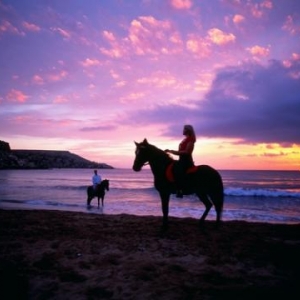 Horse Riding - (c) Malta Tourism Authority