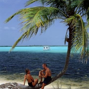 (c) McDavid "The Cayman Islands"