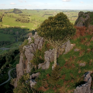 Hairy Feet: Lieu de tournage du film "Le Hobbit"