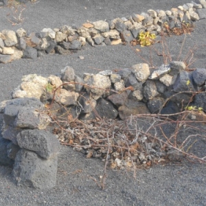 monument du paysan