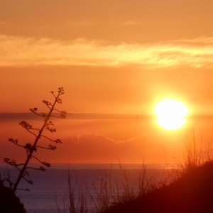 L'Algarve des trois printemps