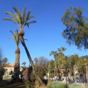 iberostar palmeraie marrakech