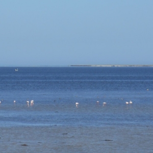 fort espagnol - houmt souk - ile des flamands roses