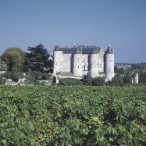 Chateau de Luynes