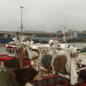 boulogne sur mer port de peche