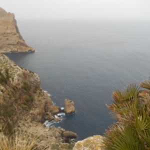 formentor