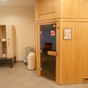 hotel crowne plaza brussels airport - sauna