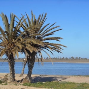 balade caleche vers le lac sale