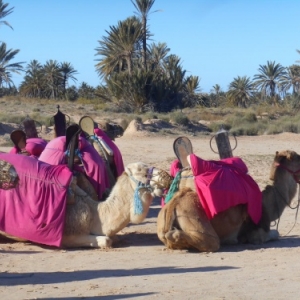 lac sale djerba