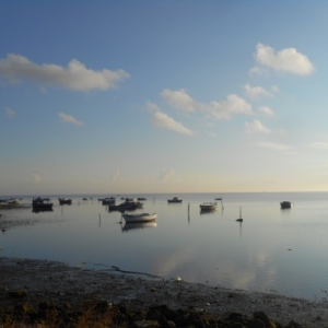 Djerba, l’île d’Ulysse et des lotophages