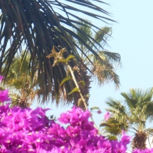 Lanzarote, la magie canarienne du noir, du blanc et du bleu