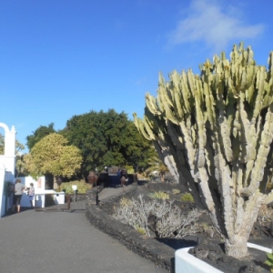 fondation cesar manriquea a tahiche