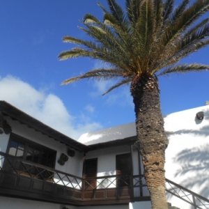 jameos del agua