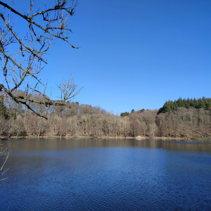 Maare - lac de l'Eifel