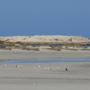 cote occidentale - lagune bleue