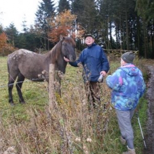 le docteur Bauvir fait semblant de parler au cheval; en fait, il fait une halte aussi!