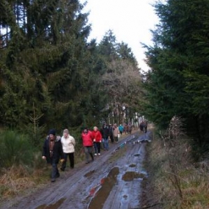 le chemin est toujours plat