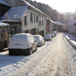 Au pied du Bois des Moines.