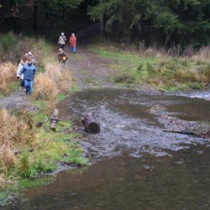 le ruisseau entre Bonnerue et Mabompre