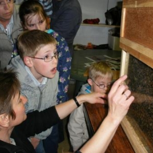 Janique, les enfants, et les abeilles.