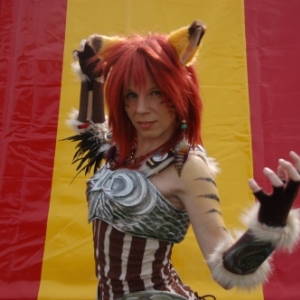 Elfia 2014 - Arcen