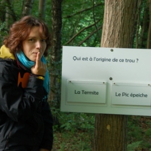 Balade gourmande au Bois du Chant d'Oiseaux