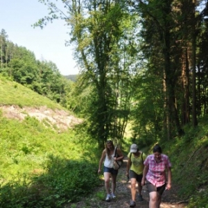 Randonnée gourmande "al cwene des bwes" - Pays d'Ourthe & Aisne