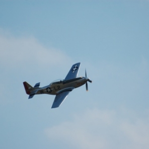 P51D Mustang