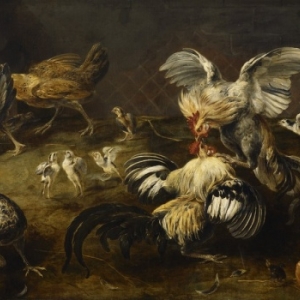 Combat de coqs,  Frans Snyders (1579-1657), © Hugo Martens