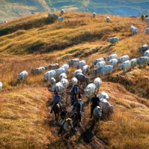 Molise : un petit territoire qui garde la quintessence des beautés italiennes !