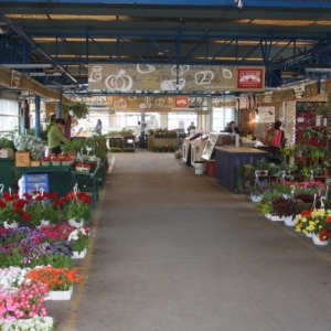 le marché couvert