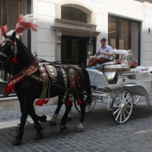 Malopolska avec sa capitale Cracovie. Idéal pour un dépaysement de quelques jours.