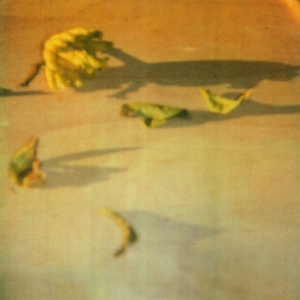 Cy Twombly Lemon, Gaeta Dryprint on cardboard 2008 43,1 x 27,9 cm © Schirmer/Mosel Verlag - Nicola Del Roscio Foundation