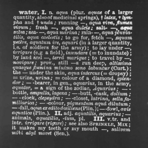 Kosuth Joseph, 'Titled (A.A.I.A.I.)' [water, Eng.-Latin], 1968