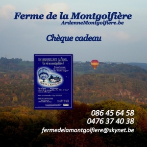 cheque cadeau vol en montgolfiere