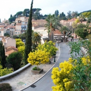 2. Bormes les Mimosas