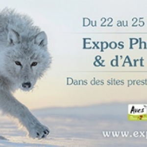  « Photos Nature et Art Animalier », à Namur, du 23 au 25/09