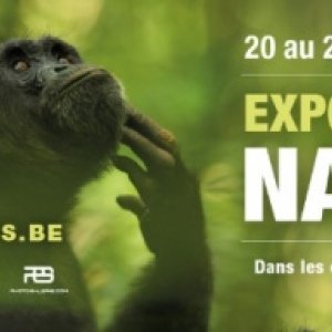 15ième "Expos Photos Nature", à Namur, du 20 au 23 Septembre