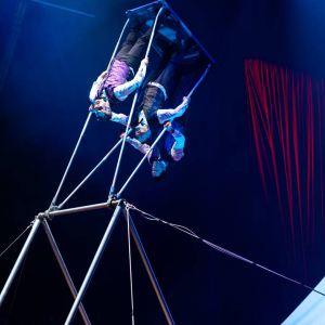 Les « Catwall Acrobats » © Photo : « Luc Petit Création »
