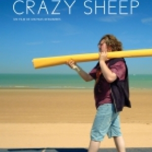 "Crazy Sheep"
